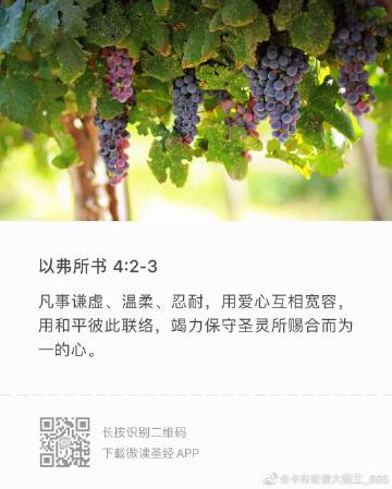 圣经客户端基督教圣经软件下载中心-第2张图片-亚星国际官网